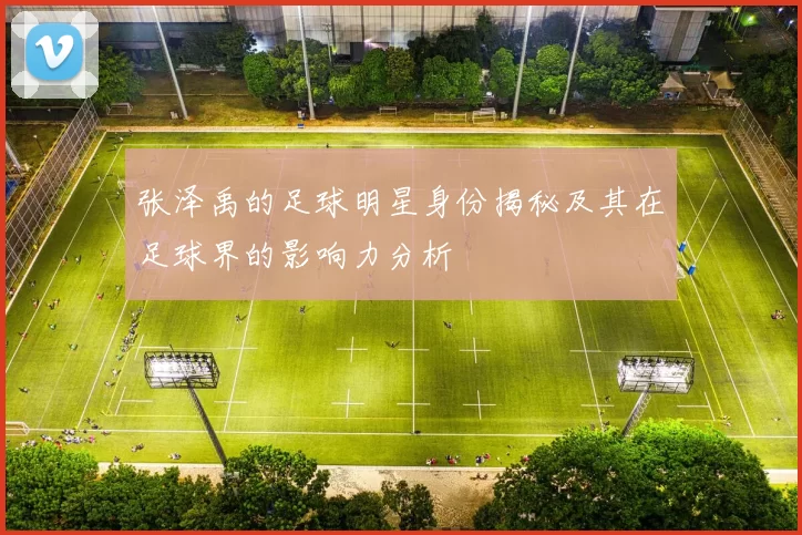 张泽禹的足球明星身份揭秘及其在足球界的影响力分析