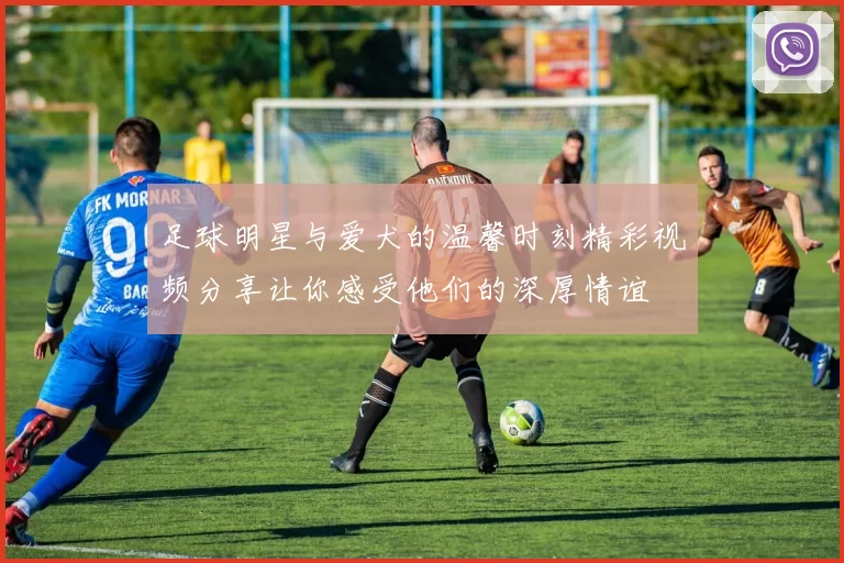 足球明星与爱犬的温馨时刻精彩视频分享让你感受他们的深厚情谊