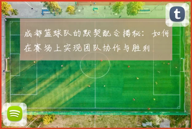 成都篮球队的默契配合揭秘：如何在赛场上实现团队协作与胜利