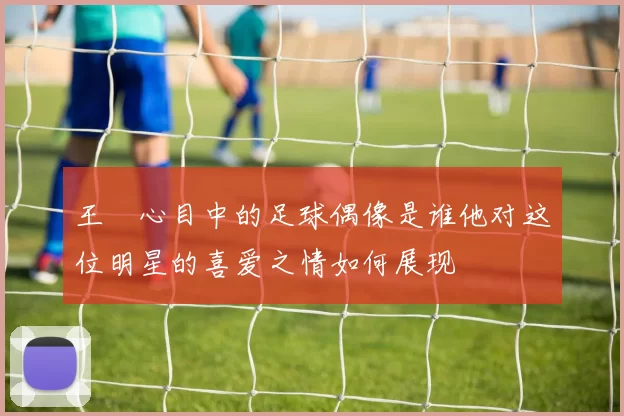 王濛心目中的足球偶像是谁他对这位明星的喜爱之情如何展现