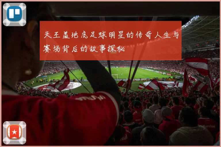 天王盖地虎足球明星的传奇人生与赛场背后的故事探秘