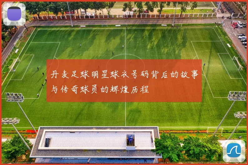 丹麦足球明星球衣号码背后的故事与传奇球员的辉煌历程