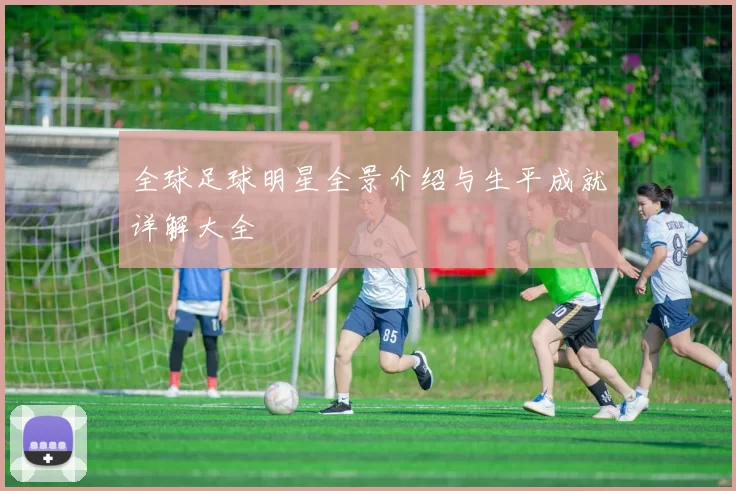 全球足球明星全景介绍与生平成就详解大全
