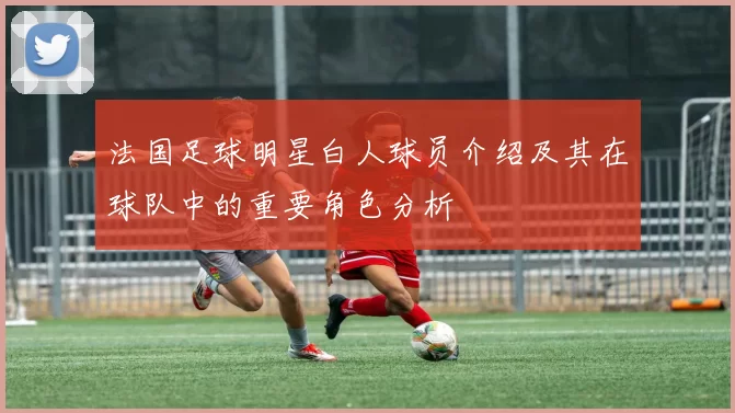 法国足球明星白人球员介绍及其在球队中的重要角色分析