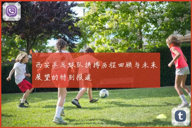 西安乒乓球队拼搏历程回顾与未来展望的特别报道