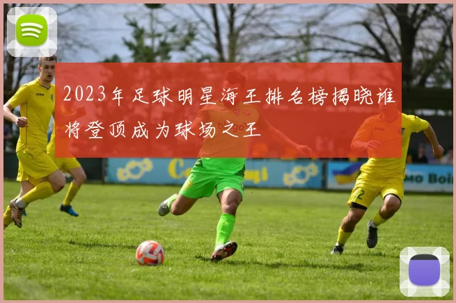 2023年足球明星海王排名榜揭晓谁将登顶成为球场之王