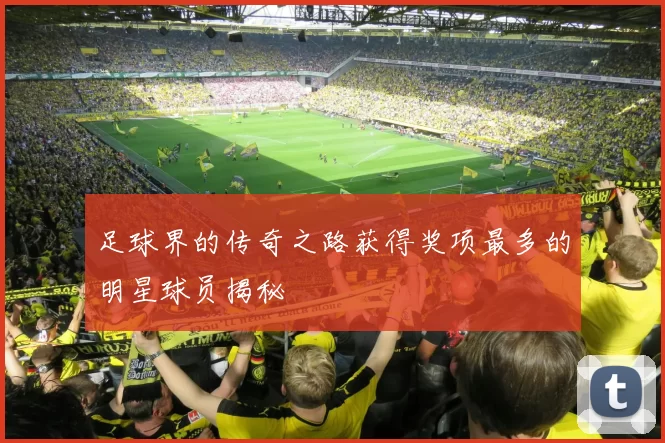足球界的传奇之路获得奖项最多的明星球员揭秘