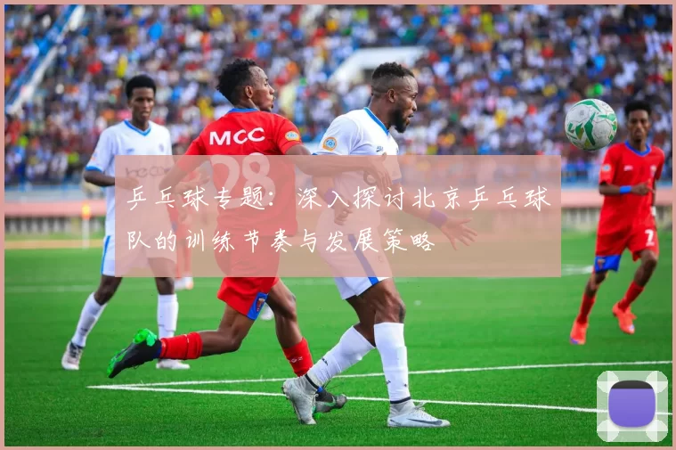 乒乓球专题：深入探讨北京乒乓球队的训练节奏与发展策略