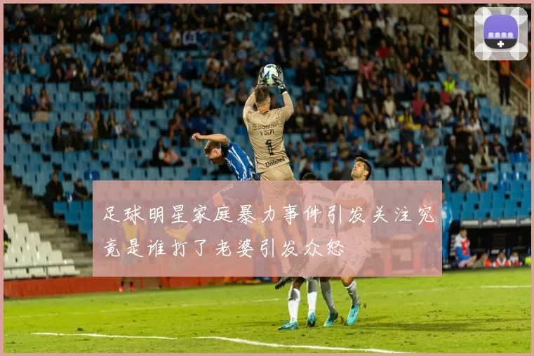足球明星家庭暴力事件引发关注究竟是谁打了老婆引发众怒