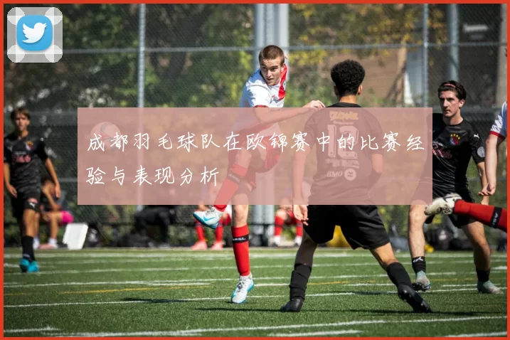 成都羽毛球队在欧锦赛中的比赛经验与表现分析