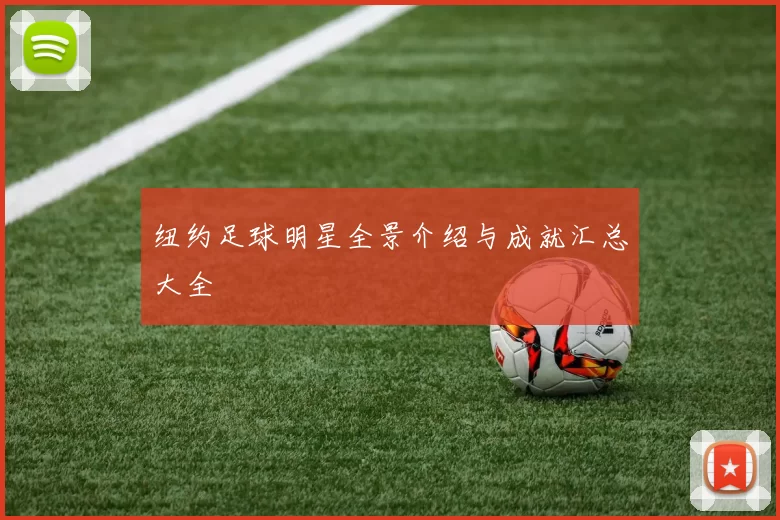 纽约足球明星全景介绍与成就汇总大全