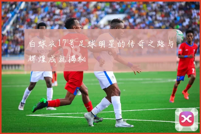 白球衣17号足球明星的传奇之路与辉煌成就揭秘